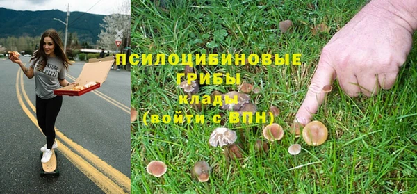 дурь Каменногорск