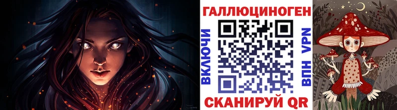 Купить где  Урус-Мартан  Галлюциногенные грибы GOLDEN TEACHER 